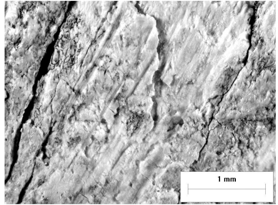 Fig. 26. Grids 6 A and 6 B magnified to 12x 