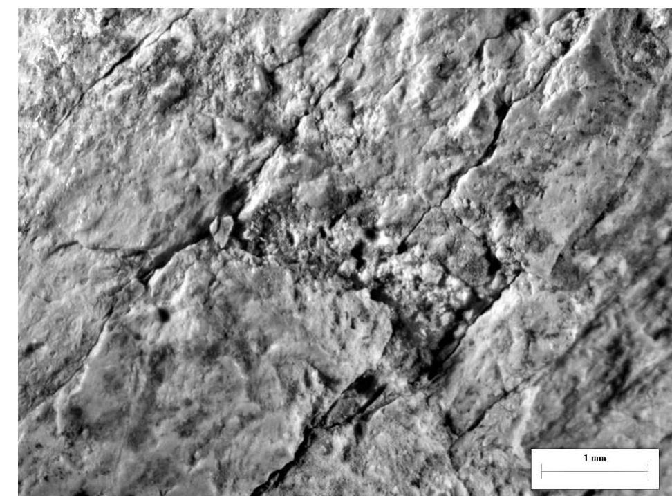 Fig. 27. Grids 6 A and 6 B magnified to 7x 