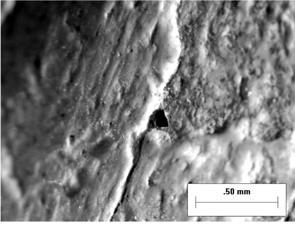 Fig. 28. Grids 6 A and 6 B magnified to 25x 