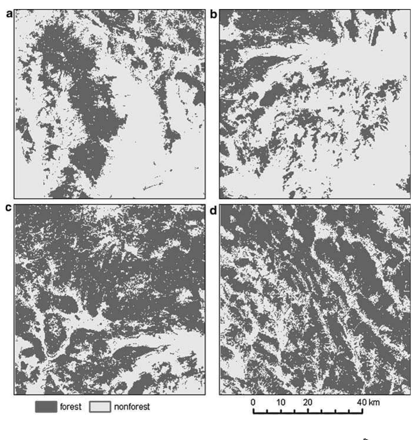 Figure 1 - Impact of scale on morphological spatial pattern