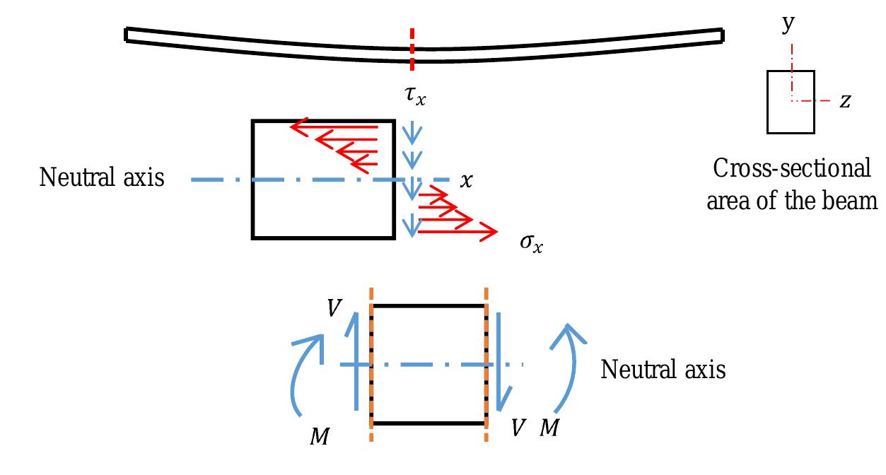 Bending moment (m) and shear force (v) diagrams of a