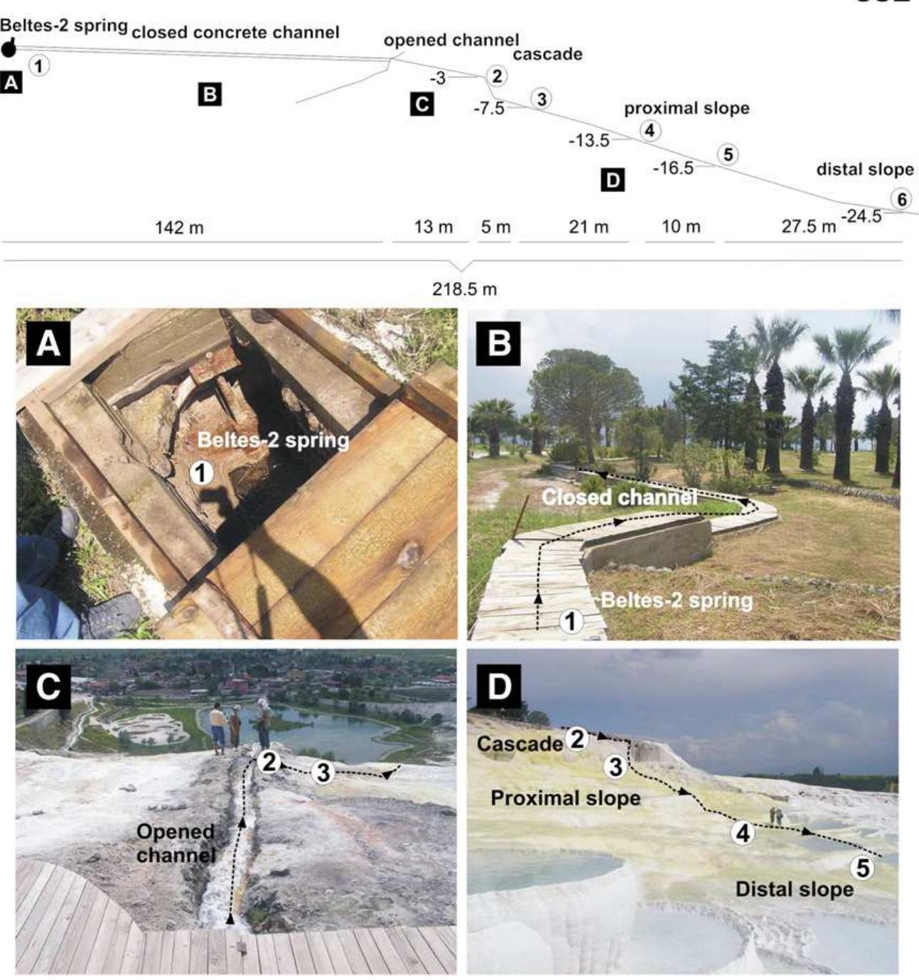 Fig. 4. Photo and cross-section of the Pamukkale Beltes-2-spring downstream section. A) Outlet of the Beltes-2 spring; B) Closed concrete channel conducts the water from thi Beltes-2 spring towards the terraced-slope; C) Opened channel above the major terraced slope environment of Pamukkale; D) Flow path of the water on the proximal slope of th Pamukkale, Beltes-2 section. Altitudes of the sampling points and distances between them are presented in Table 2. 