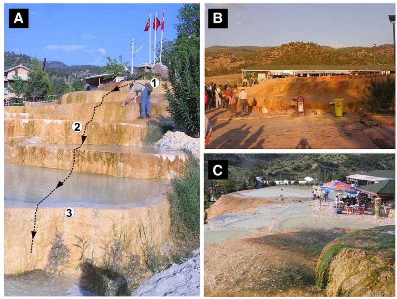 Fig. 5. A) Downstream section indicating the sampling points at Karahayit, Kirmizi Su; B) Red travertine mound at Karahayit; C) Green microbial mats around the outlet of Karahayit, Kirmizi Su thermal well. 