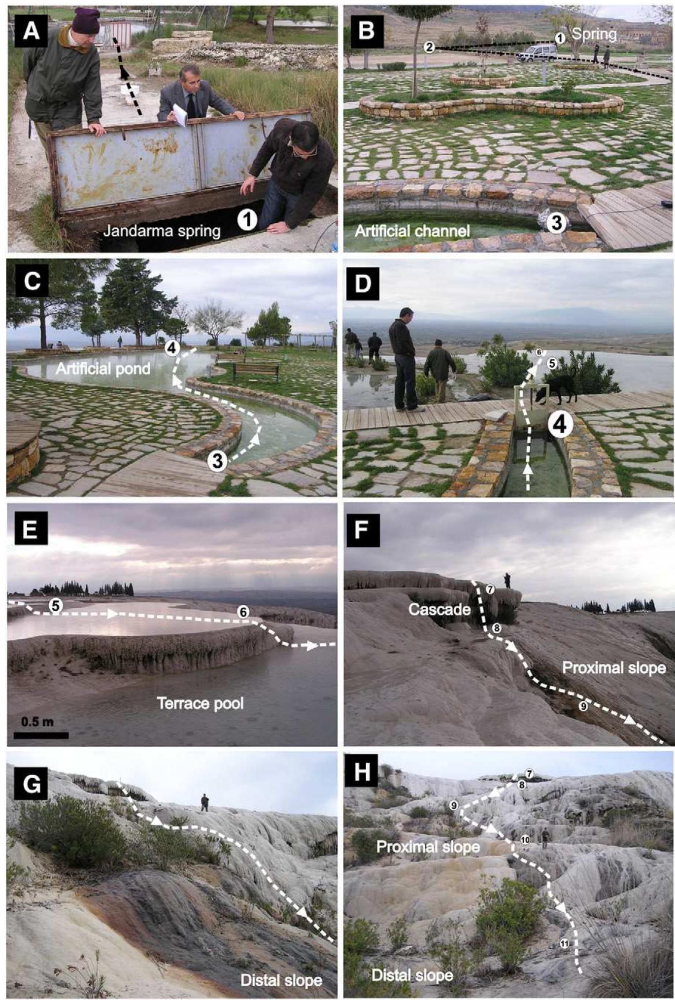 Fig. 6. Photographs of the major depositional subenvironments and facies occurring at Pamukkale, together with the sampling points. A) Outlet of the Jandarma-spring; B) Artificial channel system and lake (C) located above the terraced slope part of the section. D) Wood pavement and a dam separates the channel from the travertine slope. E) View of wide terrace pools covering the top of the slope. F) Cascade on the top of the proximal slope. G) and H) Proximal and distal slopes with no terrace pools at the lower part of the slope 