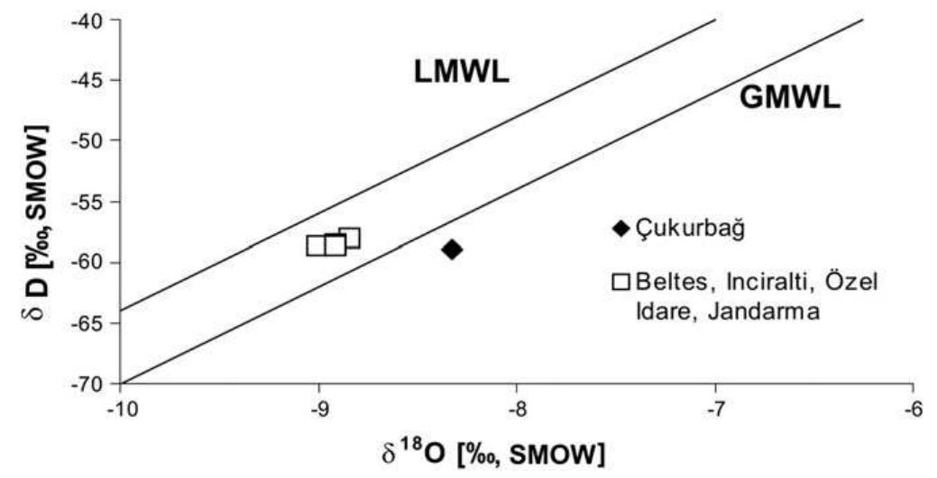 Fig. 14. Stable isotopic composition of the Pamukkale springs. GMWL = Global Meteoric Water Line (Craig, 1961), LMWL = Local Meteoric Water Line 