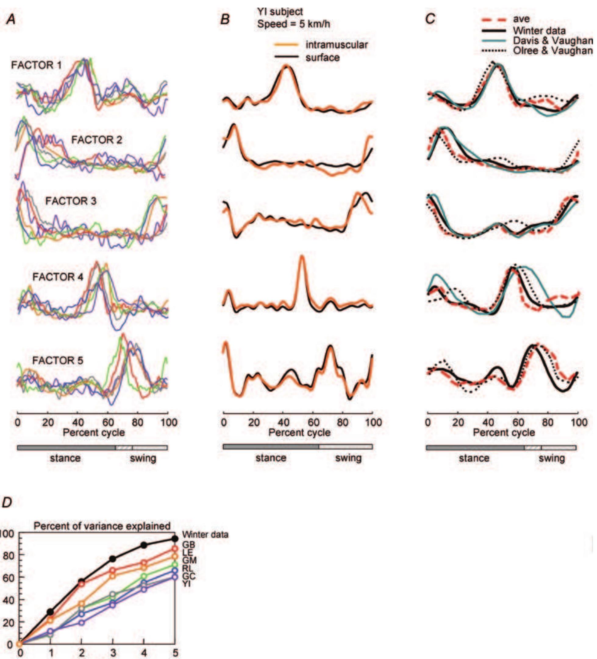 Figure 1 - from Five basic muscle activation patterns