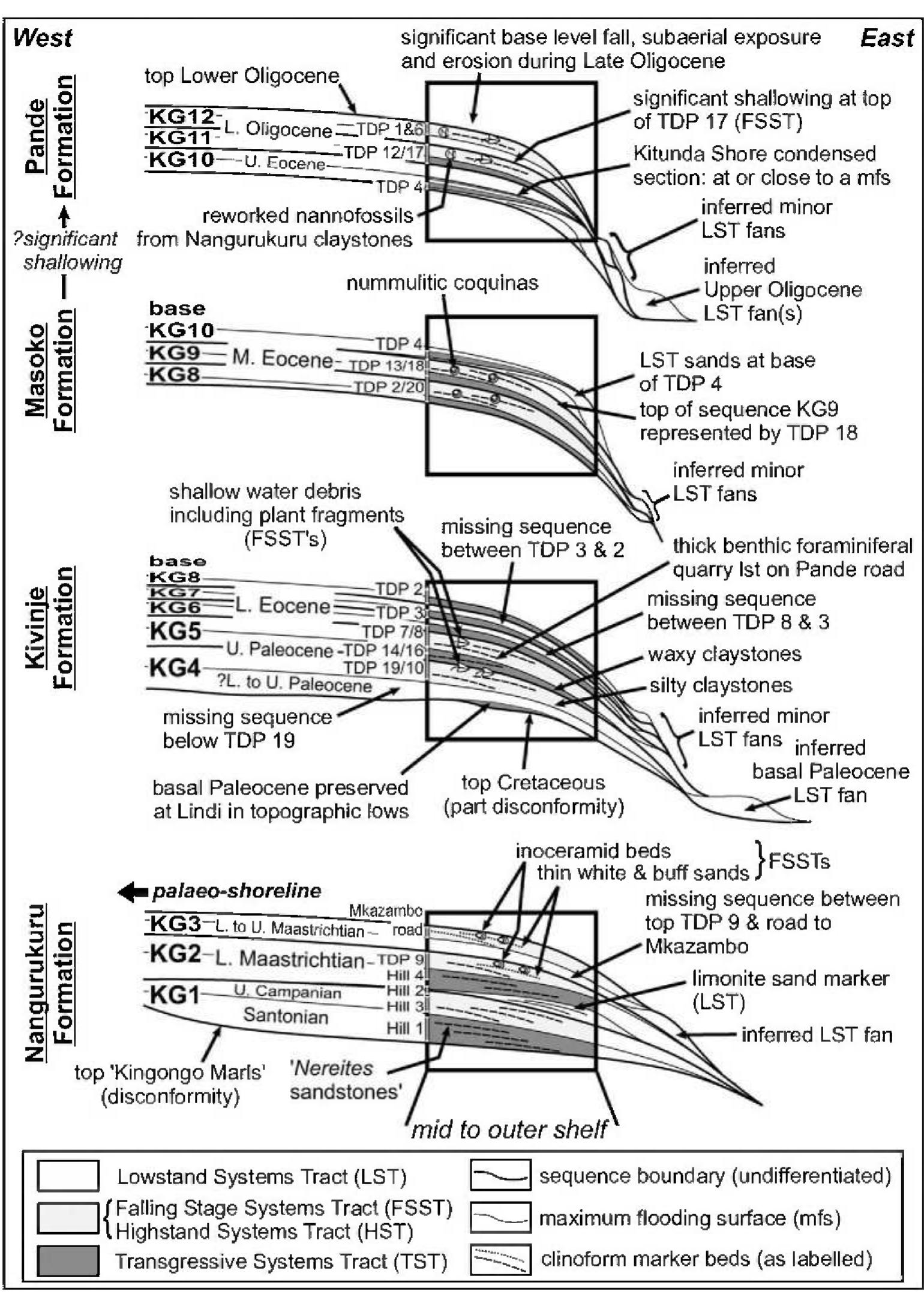 Figure 23 - from Stratigraphy and sedimentology of the Upper