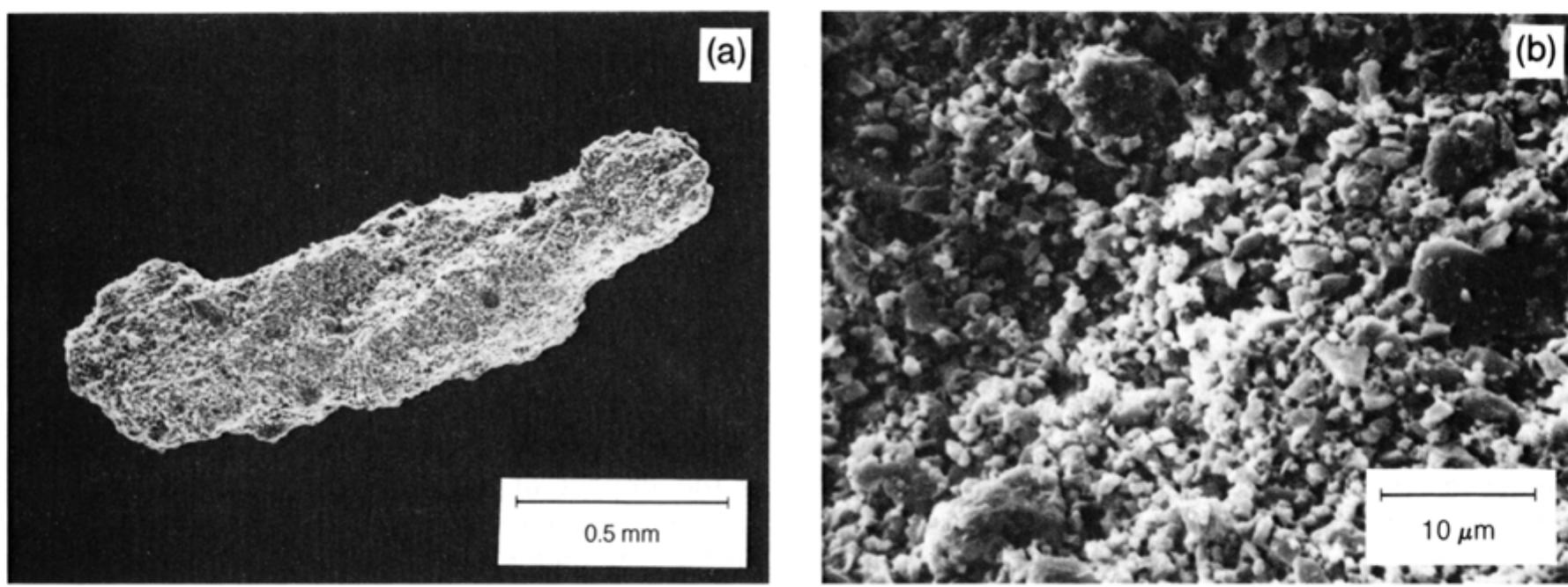 5. scanning electron micrograph of typical ropy glass