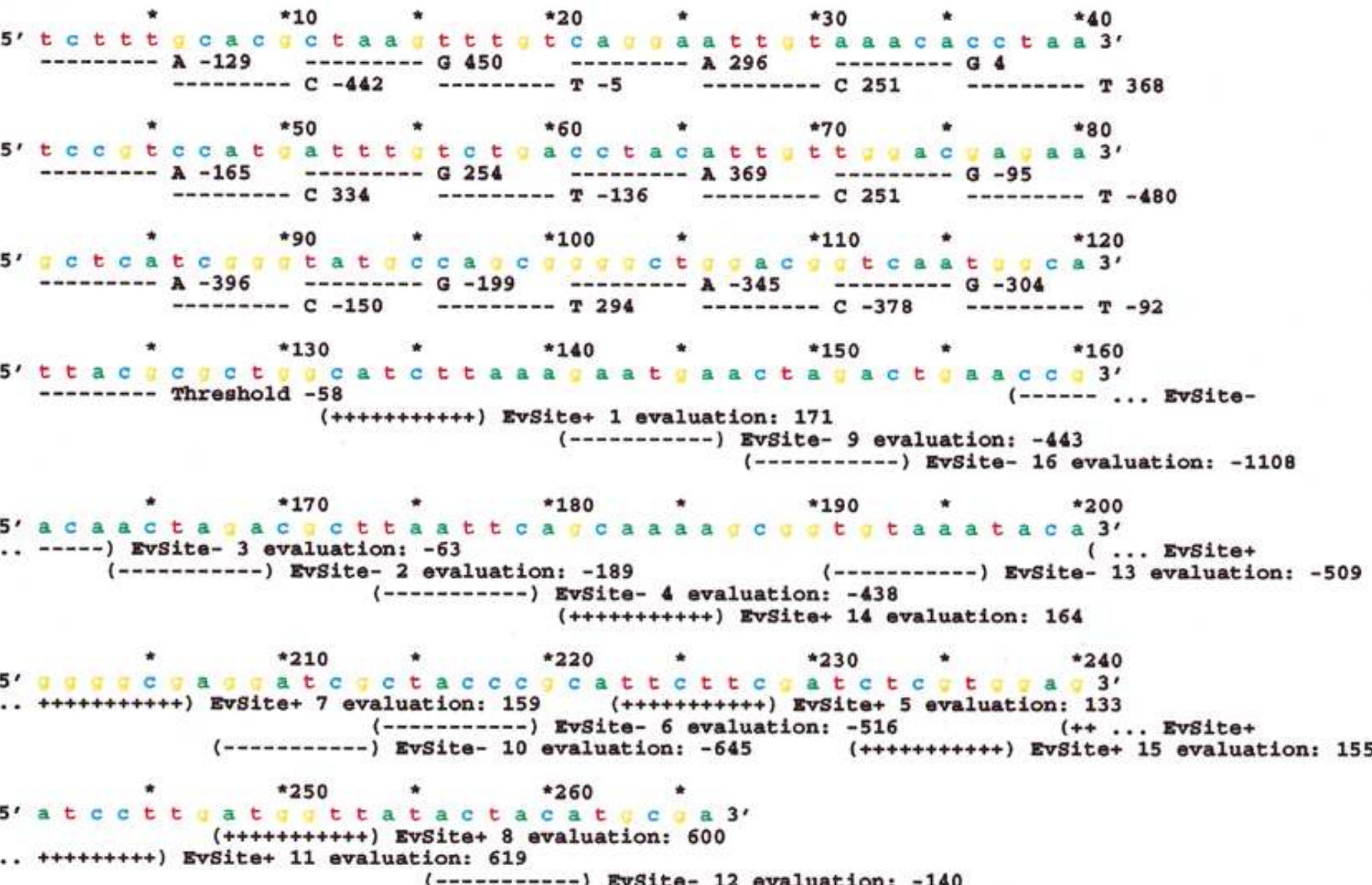 (PDF) Evolution of Biological Information