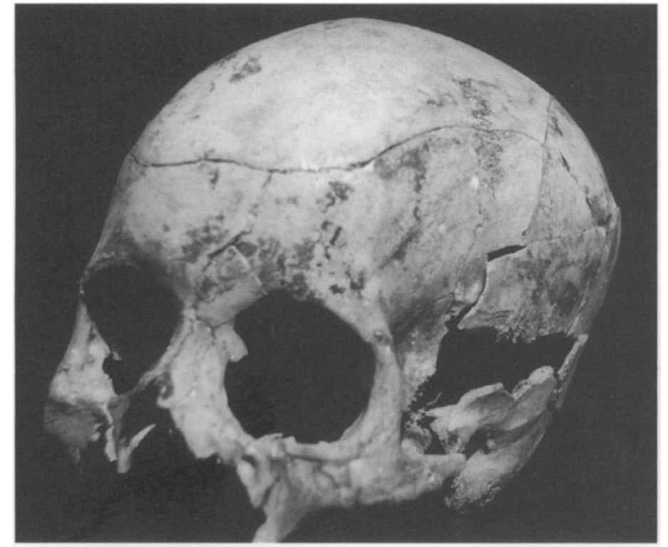 洋書 EGYPT VIVIAN DAVIES AND RENEE FRIEDMAN 816v+hGS0FL.jpg