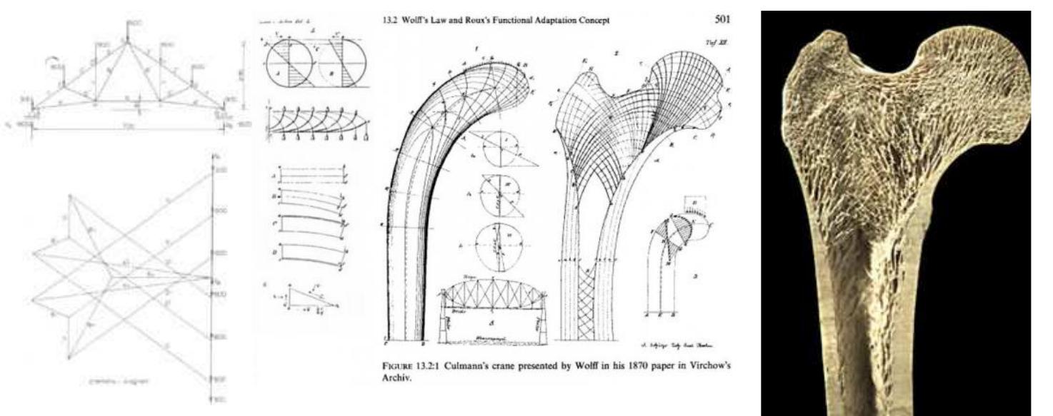 Figure 1 - from Project Nervi: Aesthetics and Technology