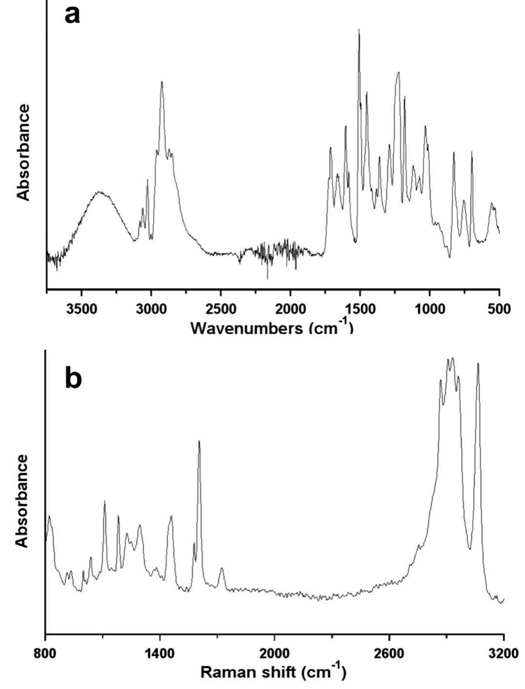 Atr-ftir (a) and raman (b) spectra of a fragment from the