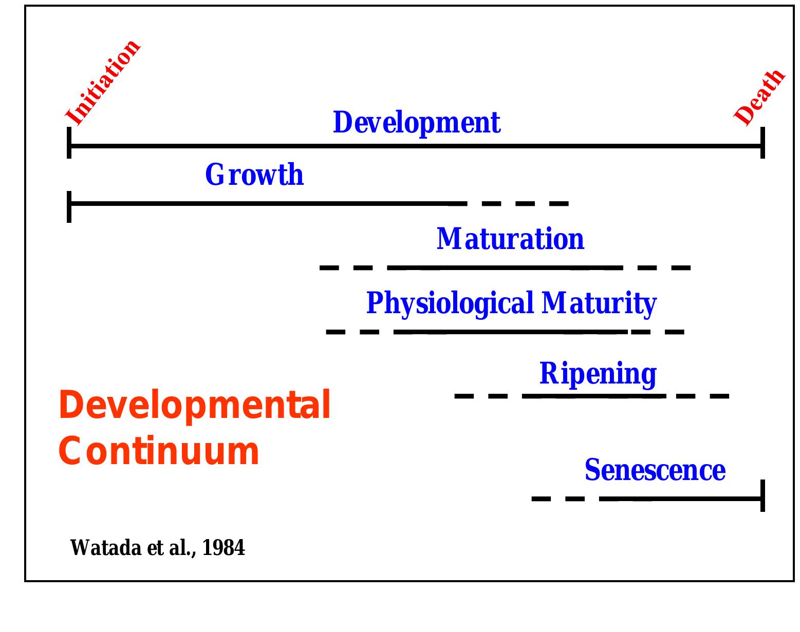 Figure 4 - Maturation and Maturity Indices When to Harvest?