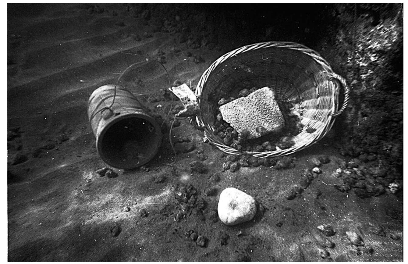 Dimittha Fish Figure 1 - Carmen Alfaro and Dimitra Mylona, FISHING FOR