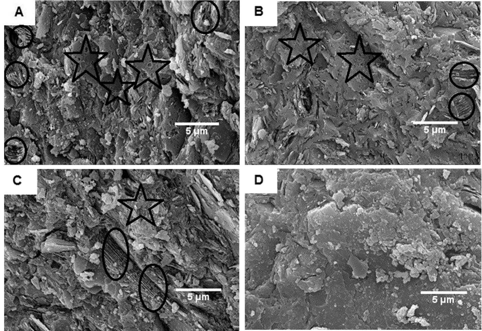 Fig. 2. SEM images of the fracture surfaces of geopolymers (a) G-KS, (b) G-RHA, (c) G-SF, (d) G-MK/BS.  In the temperature range 200 °C-920 °C, the thermal expansion co- efficients (TEC) are 1.10 x 10°-*K~ !, 1.06 x 10°-4K~!, 1.07 x 10°4K7}, and 1.13 x 10-4 K~', in geopolymers G-KS, G-RHA, G-SF and G-MK/BS respectively. These values are similar to values from common materials such vitreous silica (1.36 x 10-4 K~'). The physical evolution of geopolymer materials during heating is a critical factor in determining their suitability for applications including construction and refractory materials (Duxson et al., 2006d). The total linear shrinkage of the geopolymers in the present study was 7.15%, 7.64%, 9.16% and 9.40% to 920 °C for G-KS, G-RHA, G-SF and G-MK/BS respectively. Other stud- ies have reported overall shrinkage values of approximately 8%   All specimens exhibited similar DSC thermograms, as shown Fig. 3b. Two characteristic features were observed in all thermograms; a large endothermic peak in the lower temperature region and a small exother- mic peak in the higher temperature region. The large endothermic peaks in the DSC curves extended from 40 °C to 300 °C and were attrib- uted to the evaporation of free water in the geopolymer, as indicated by thermogravimetric analysis. In the high temperature region the exo- thermic peak (around 1150 °C) was caused by leucite crystallization (KAISiz0g¢), which had been demonstrated in our recent study (Villaquiran-Caicedo et al., 2015). Bell et al. (2009) and Zhang et al. (2007) respectively also observed an exothermic peak due to leucite crystallization from the potassium based geopolymer and hydrothermal silica precursor. According to the DSC analysis, the activation energy of leucite crystallization and the thermal parameters are shown in Table 4. Compared to the KS silica source, the activation energy for G- SF and G-RHA increased by 60.8% and 160% respectively. There is no previous study on the activation energy of crystallization of leucite from the geopolymer precursor. The activation energy for direct crystal- lization of leucite is unknown.  