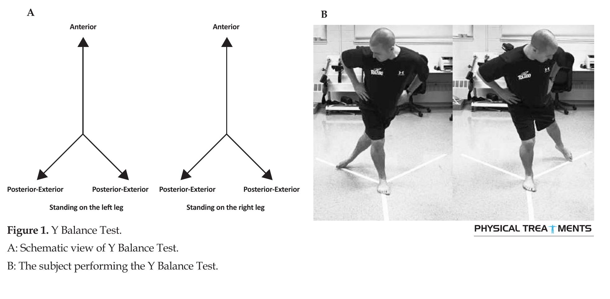 (PDF) The Effect of Lower Extremity Muscle Fatigue on Dynamic Postural ...