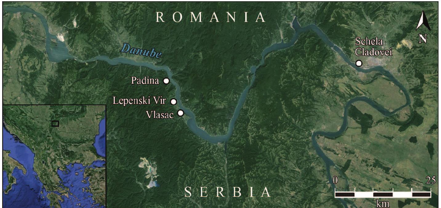 The Padina, Lepenski Vir, and Vlasac sites are situ- ated in the Upper Gorge (Gospodin Vir, or Lady’s Whirlpool) of the Danube Gorges (Fig. 1), on river- ine terraces sloping towards the Danube. The initial rescue excavations of the sites were undertaken in the 1960s and 1970s (Srejovié 1969; 1972; Srejo- vic, Letica 1978; Radovanovic 1996; Jovanovic 2008), prior to the raising of the water level due to dam construction, and new revisory excavations of the preserved portion of the Vlasac terrace were car- ried out in 2006-2009 (Borié 2006; Boric et al. 2008; 2014). The earliest traces of human presence in these locations date to the period of c. 9500- 7400 cal BC (the Early Mesolithic) (Bori¢, Dimitrije- vic 2009; Boric 2011), and are manifested by occa- sional burials (some in a seated position), several stone constructions (Boric, Miracle 2004; Jovanovic  The Transformation/Early Neolithic phase (c. 6300/ 6200-5900 cal BC) (Boric, Dimitrijevié 2007; Borié 2011), coinciding with the emergence of the first farming communities in the Balkans, saw the estab- ishment of the first settlements with elaborate tra- pezoidal-base dwellings, distinctive sandstone sculpt- ed boulders and the introduction of pottery at Le- penski Vir and Padina (Srejovie 1969; 1972; Rado- vanovic 1996; Garasanin, Radovanovic 2001; Jo- vanovic 2008), but with unchanged subsistence stra- egies dependent on hunting and fishing (Boric, Di- mitrijevi€ 2006). The first domesticates (apart from  