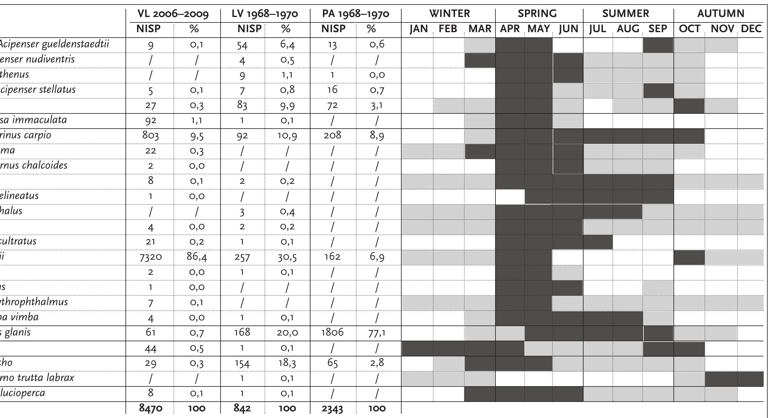 Tab. 4. Fish taxa identified to the species level from Vlasac, Lepenski Vir, and Padina expressed in NISP frequencies (after Livaljevi¢ in prep.) and the  sonal availability on the basis of migration/spawning seasons, feeding seasons and optimal water temperature. Light shades - availability; dark shades availability (after Dinu 2010.Tab. 2; Bartosiewicz, Bonsall 2004.Tab. 7; Bartosiewicz et al. 2008.Tab. 6; Petrovic 1998 [1941]; Risti¢ 1977; Simonovi¢ 200  telat, Freyhof 2007). 