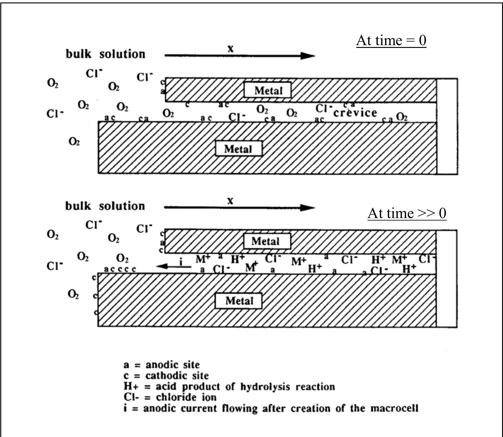 Figure 3 - from The use of microelectrodes in the study of