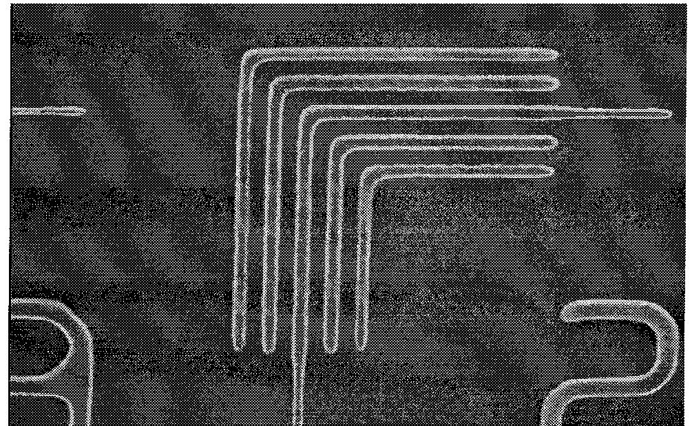 Scanning electron micrograph showing a top- down view of a