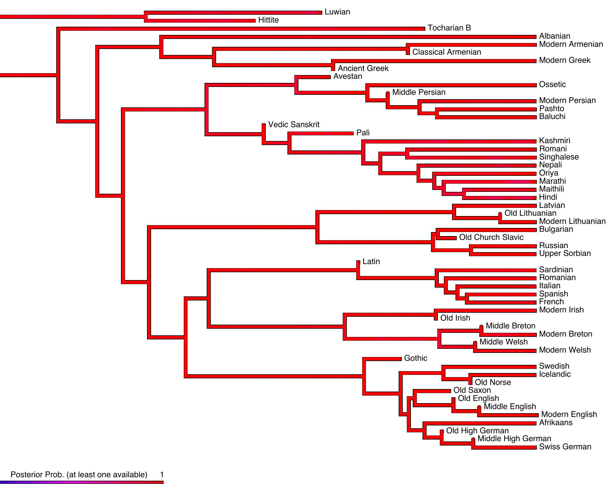 Figure 13 aggregates the maps from all types into a single tree and reports the probability of at least one type being available for recursion.  Figure 13: Posterior probability densities of at least one type being available for recursion (C tree  The number of sampled time intervals (diachronic trials) in this tree is: 