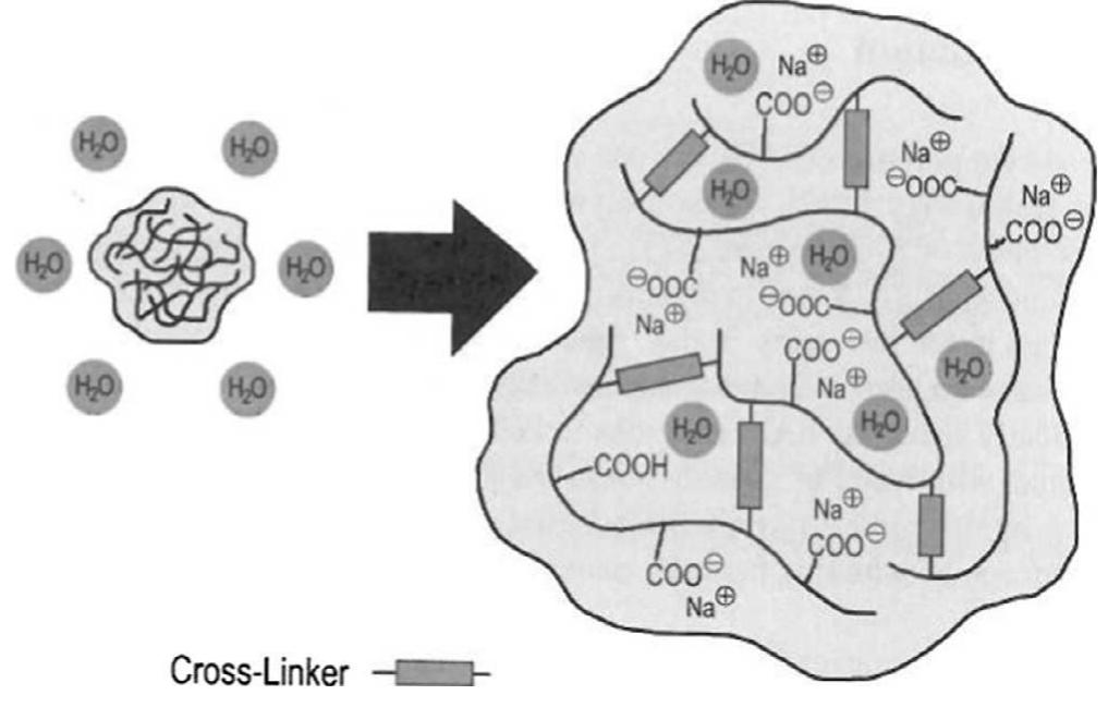 Figure 1 - from Influence of SAP content and curing age on