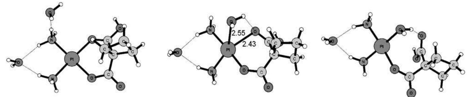 Optimised structures of the stationary points for the