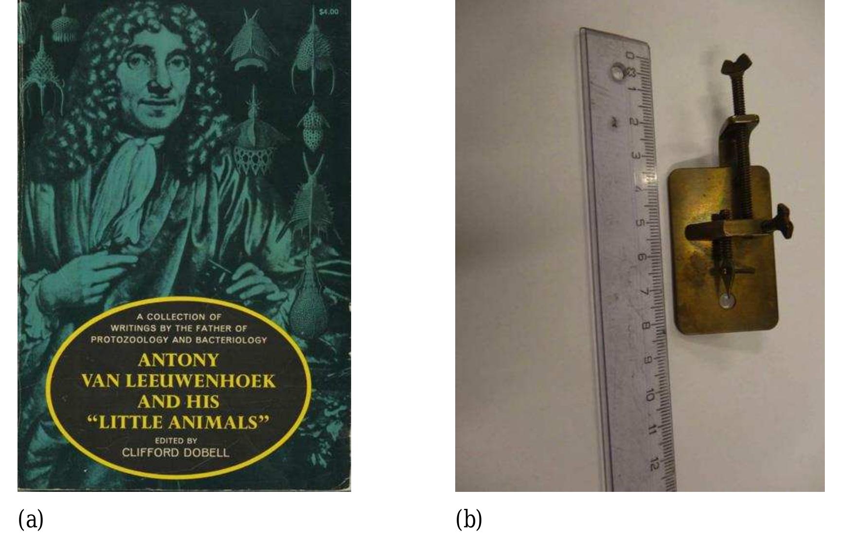 (PDF) BIOFILM FORMATION AND CONTROL IN FOOD PROCESSING FACILITIES