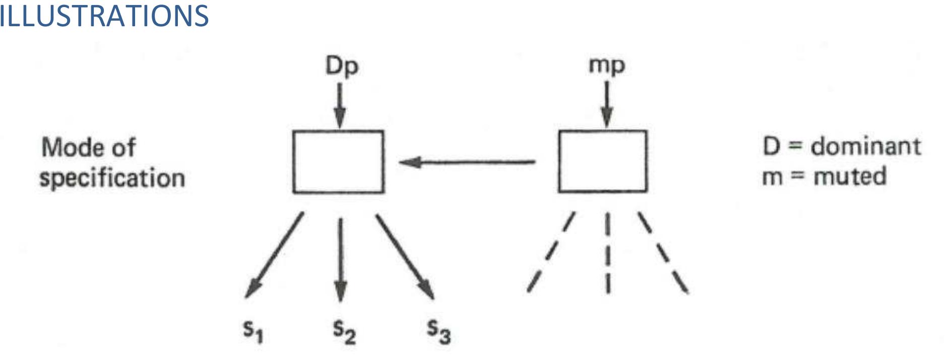A diagram illustrating how dominant p-structures generate