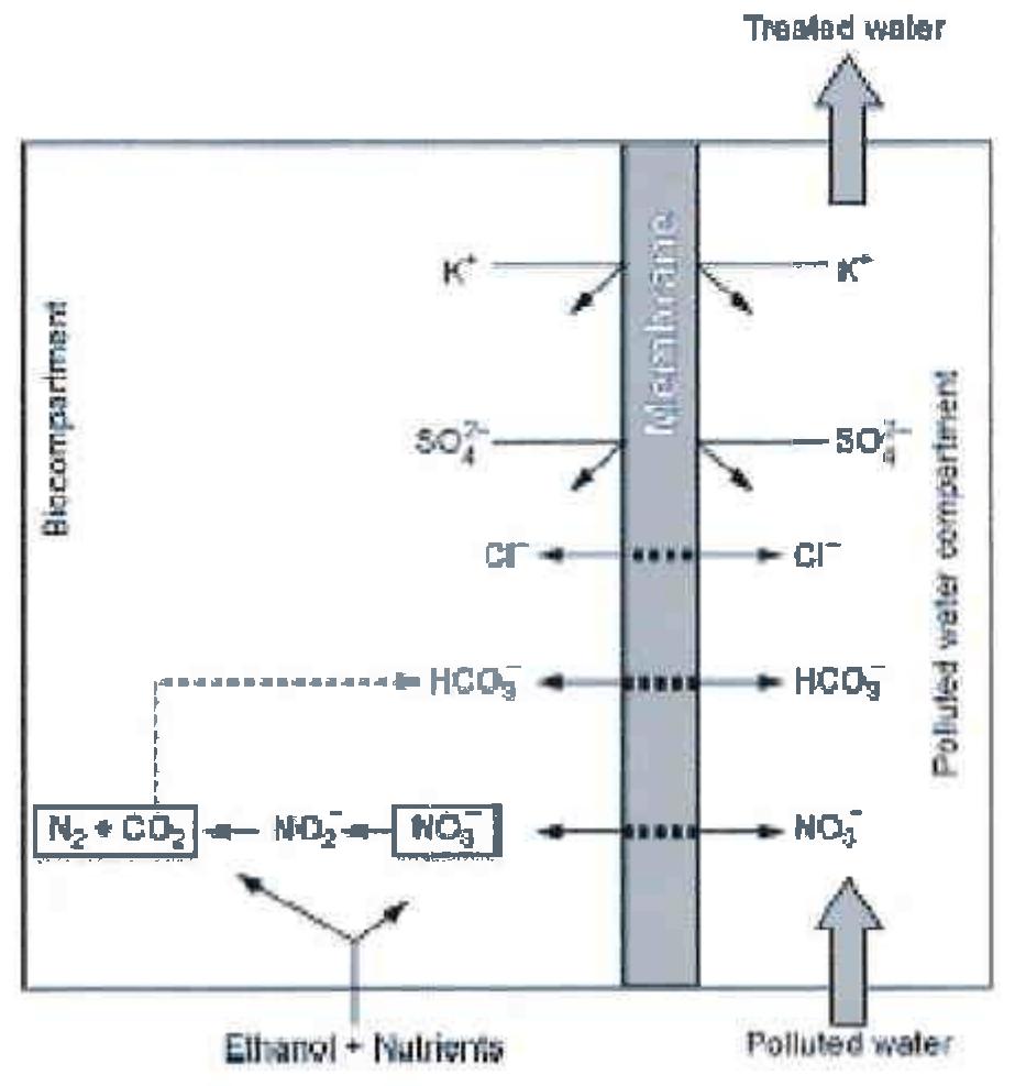 (PDF) Water treatment using the new concept of ion exchange membrane ...
