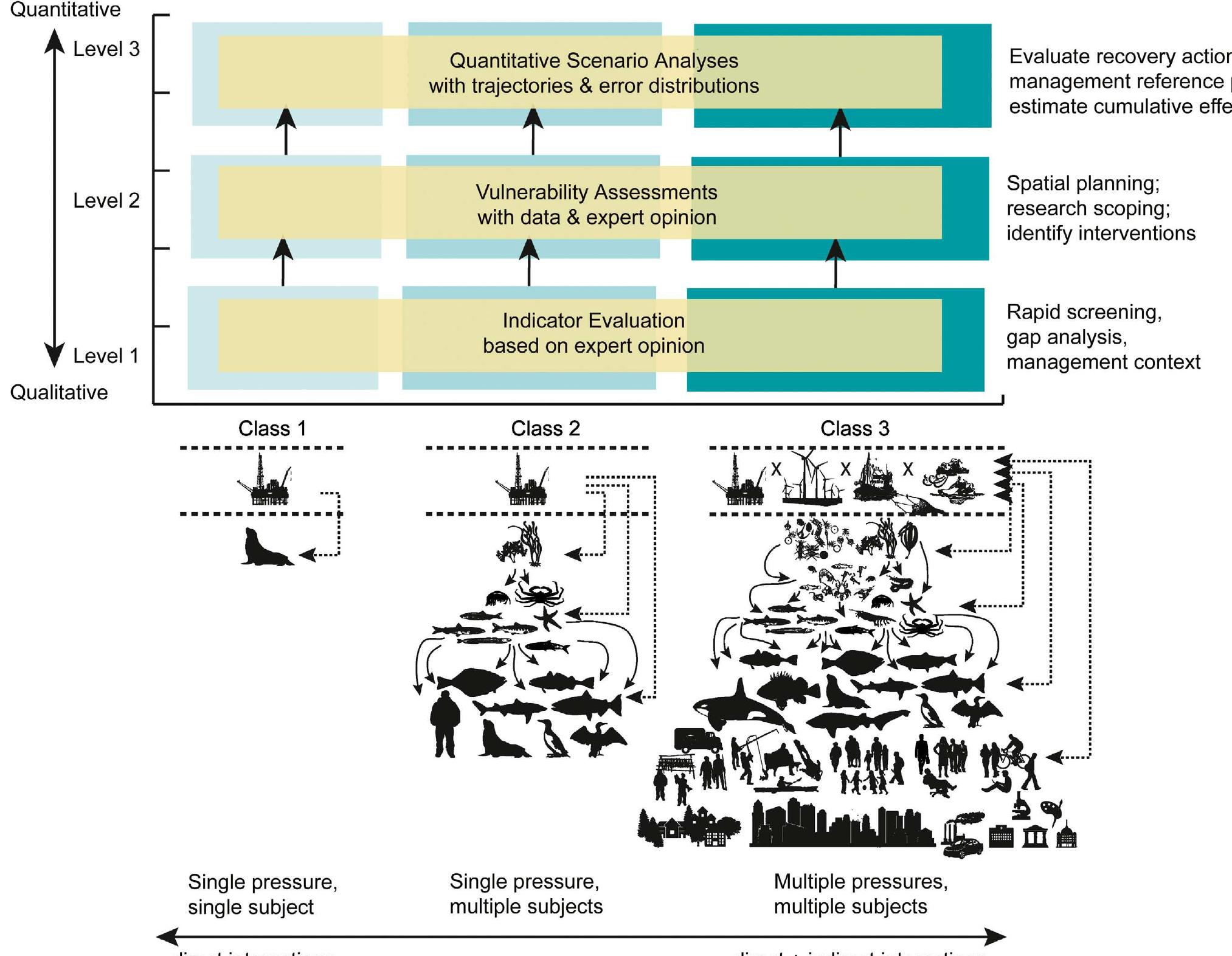 Hierarchical conceptual framework for ecosystem risk