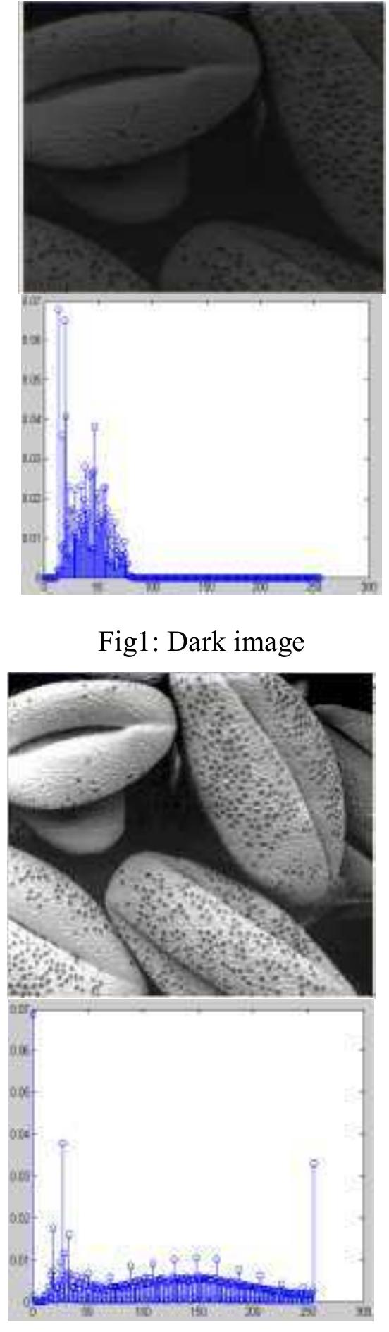 Fig4: High contrast image  To understand the working of the histogram equalization, take the example of the following image: the dynamic range of image intensities is shown by the following histogram: 