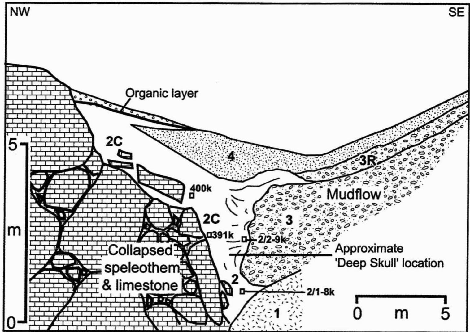 (PDF) Micromorphology of Cave Sediments in the Humid Tro