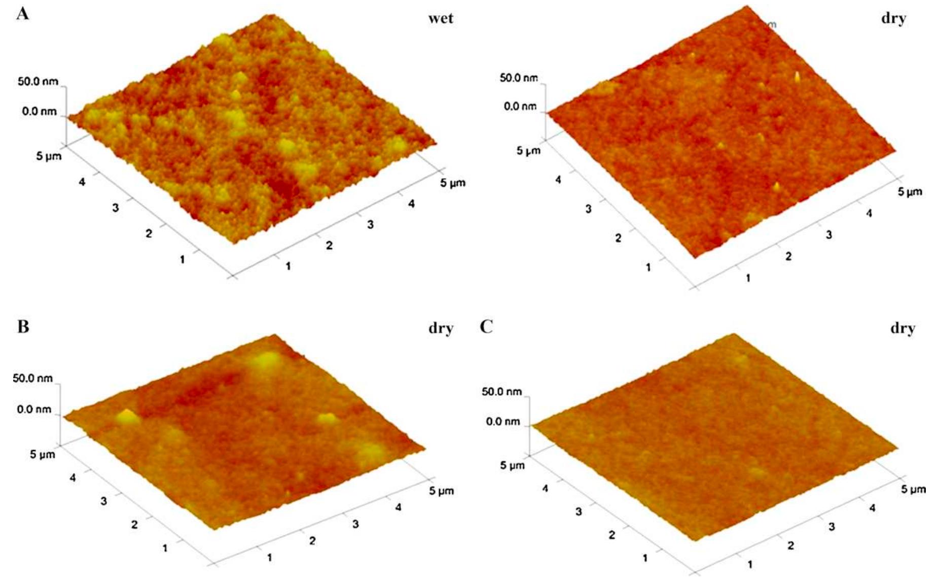 Tapping mode afm height 3d images of chitosan samples cast