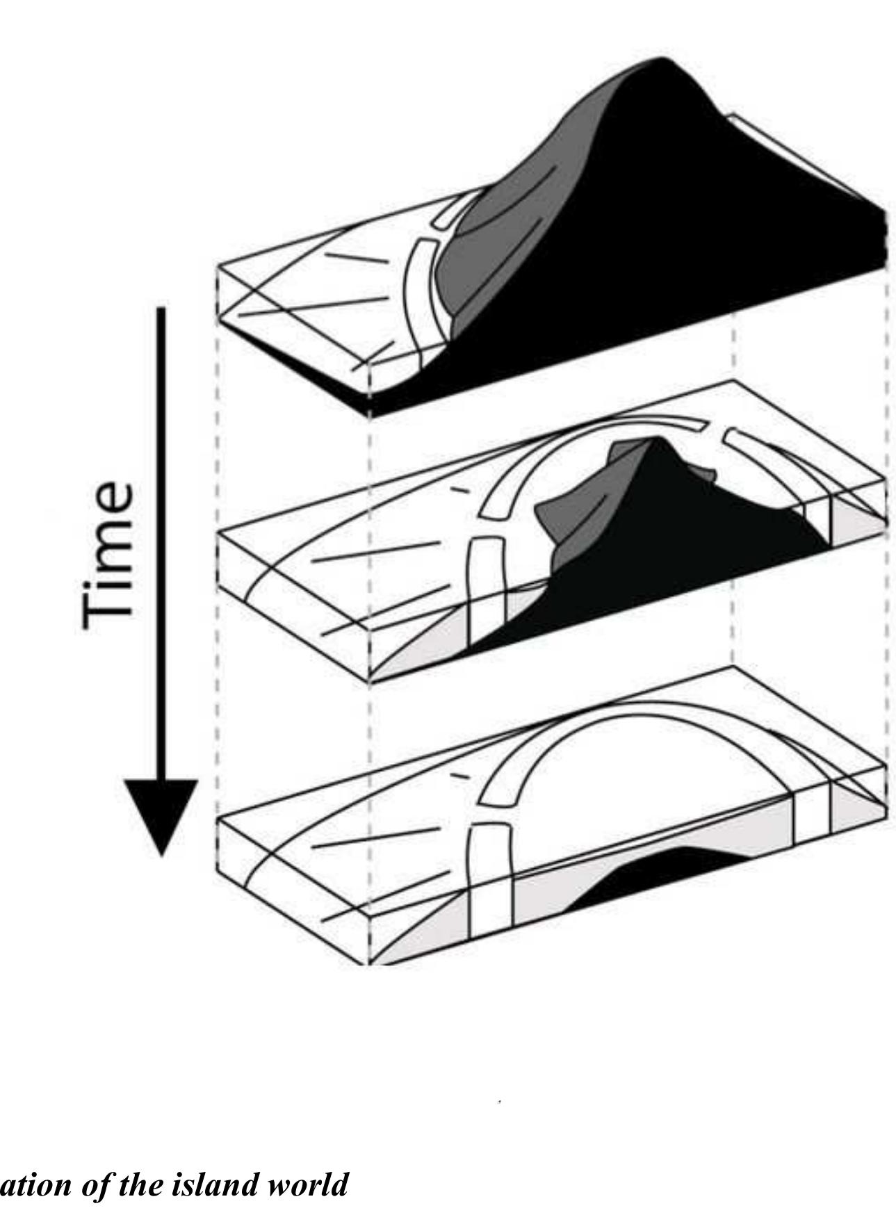 THOR 18S FUSE HIGH TIDE BK/コーラル 30/M モトクロス 正規輸入品 PDF) Handbook on Hard Corals of India