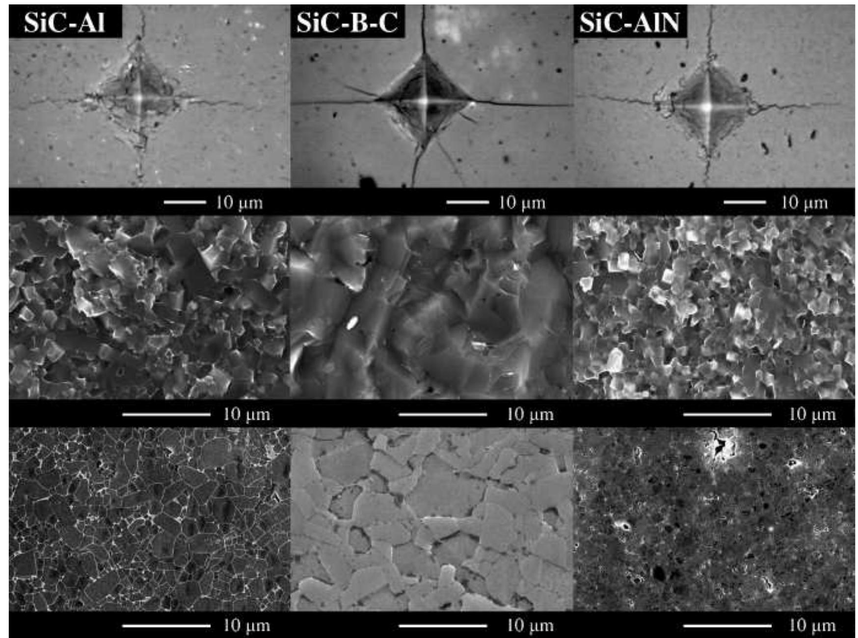 Microscope For Microstructure Optical and scanning electron microscope images of vickers