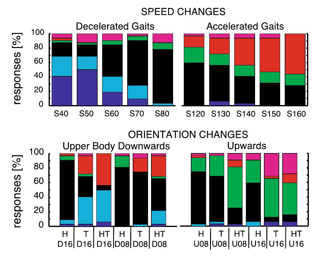 (PDF) Recognizing Emotions Conveyed by Human Gait
