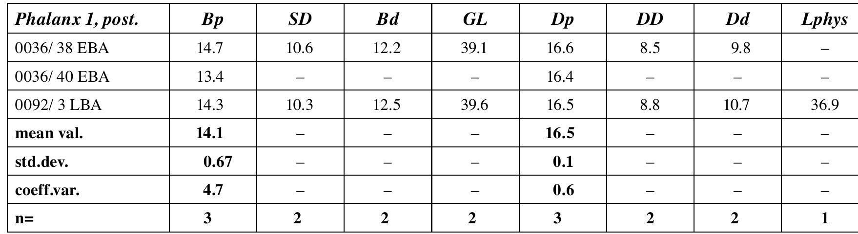 15-phalanx 1, post. - sheep (ovis) 16-phalanx 1 ant. or