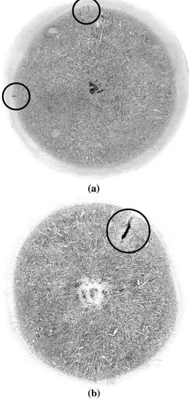 Figure 1 - from Mathematical Modeling of Hot Tearing in the