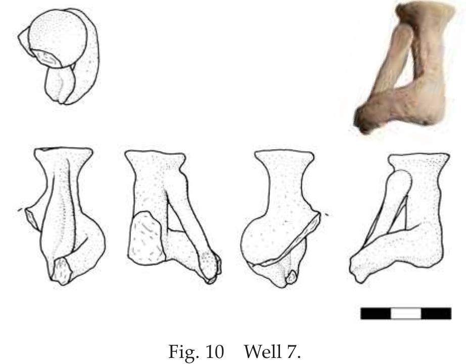 The figurine of the »double flute player: (scale 1:2) 