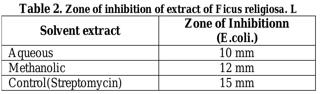(PDF) Phytochemical Screening and Antimicrobial Activity of Ficus religiosa