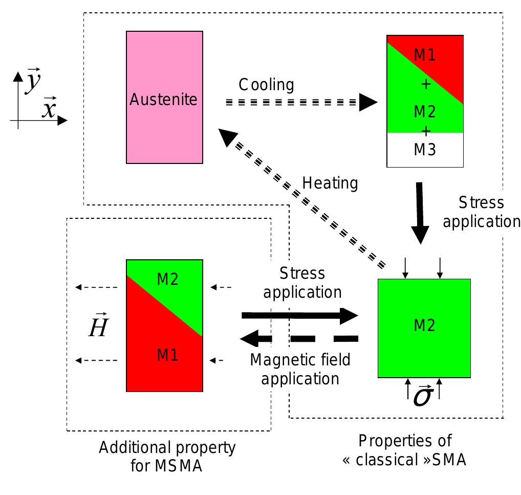 (PDF) Magnetic shape memory alloy and actuator design
