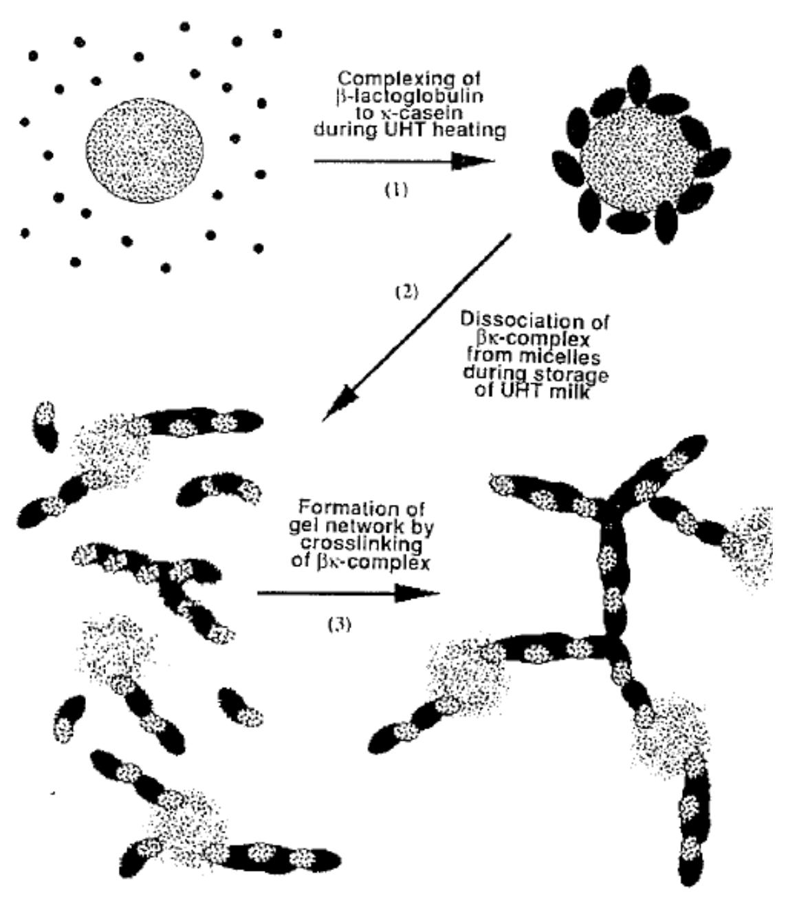 Uht Direct (PDF) UHT direct indirect system