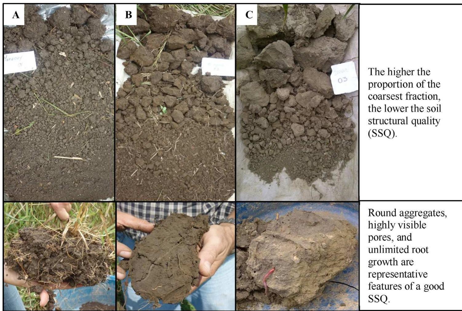 Three soils with different soil structural quality classes.