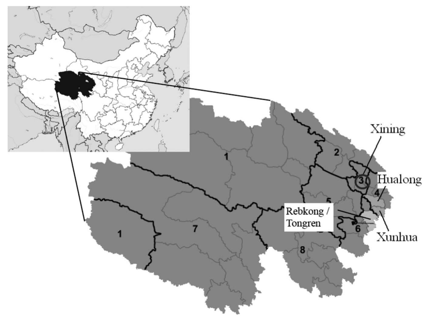 (PDF) Tibetan as a 
