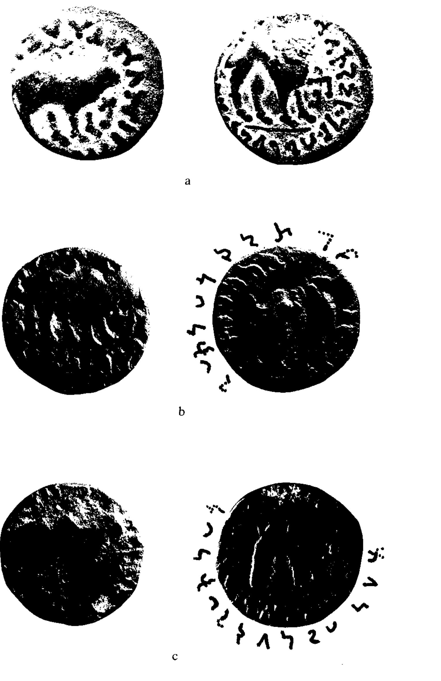 Bactrian Inscriptions Figure 5 - A new Bactrian inscription of Kanishka the Great,