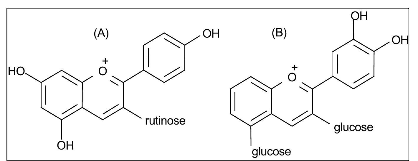 Figure 3 - ANTHOCYANINS OF FRUITS AND VEGETABLES -THEIR