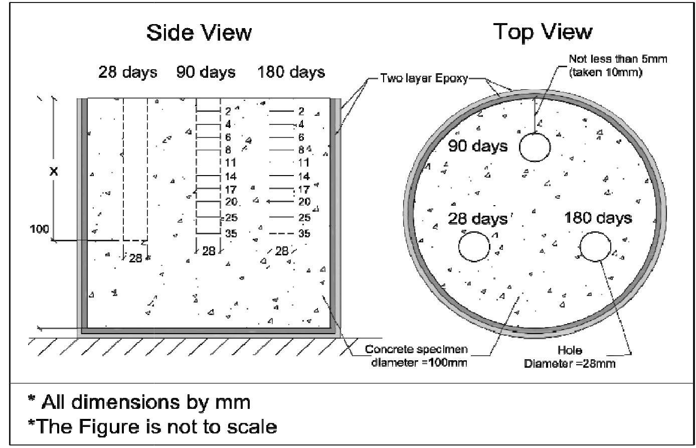 (PDF) DETERMINATION OF APPARENT CHLORIDE DIFFUSION COEFFICIENT FOR SELF ...