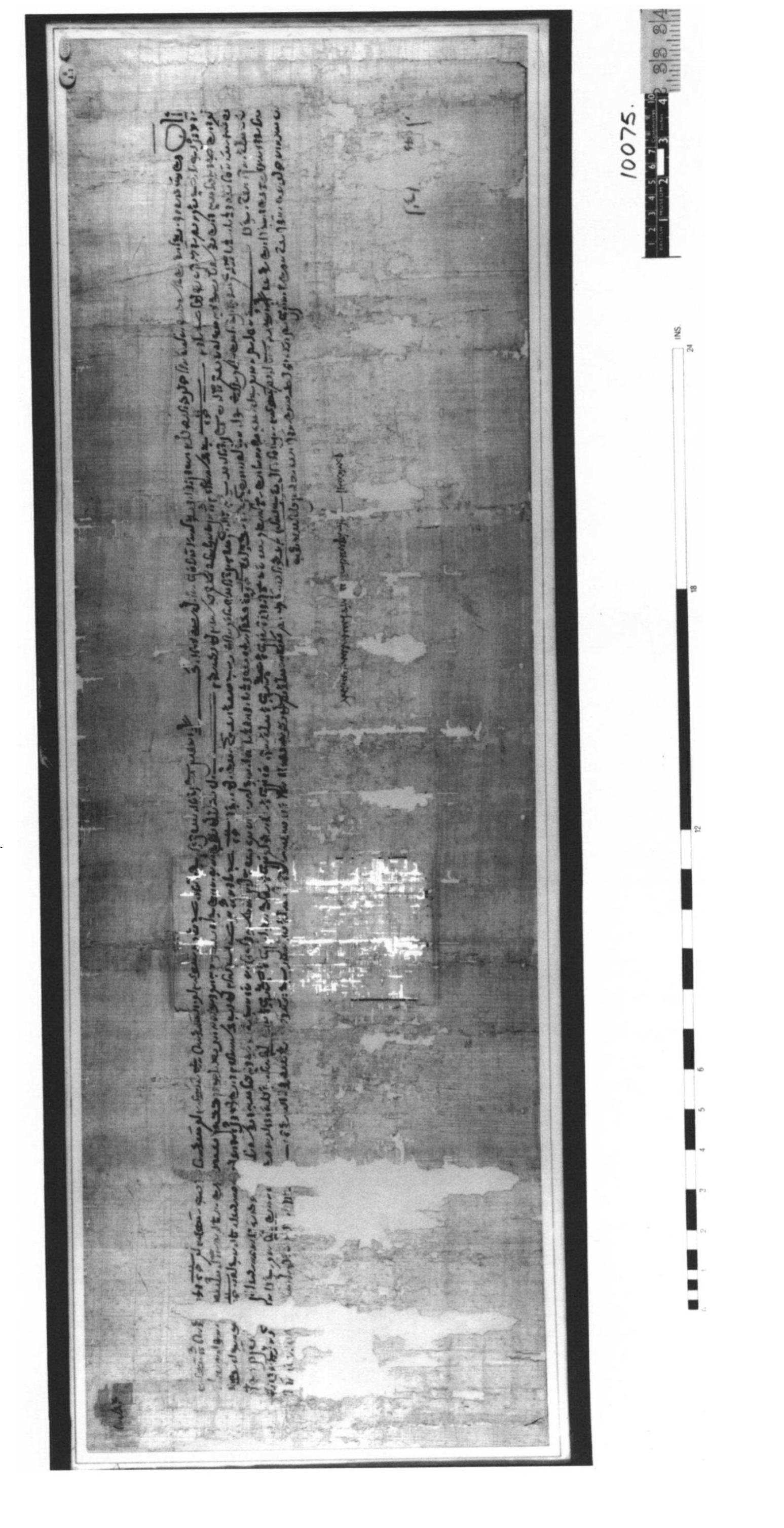 (PDF) Papyrus BM EA 10075 and Papyrus Bodleian MS. Egypt. a.41(P): Two ...