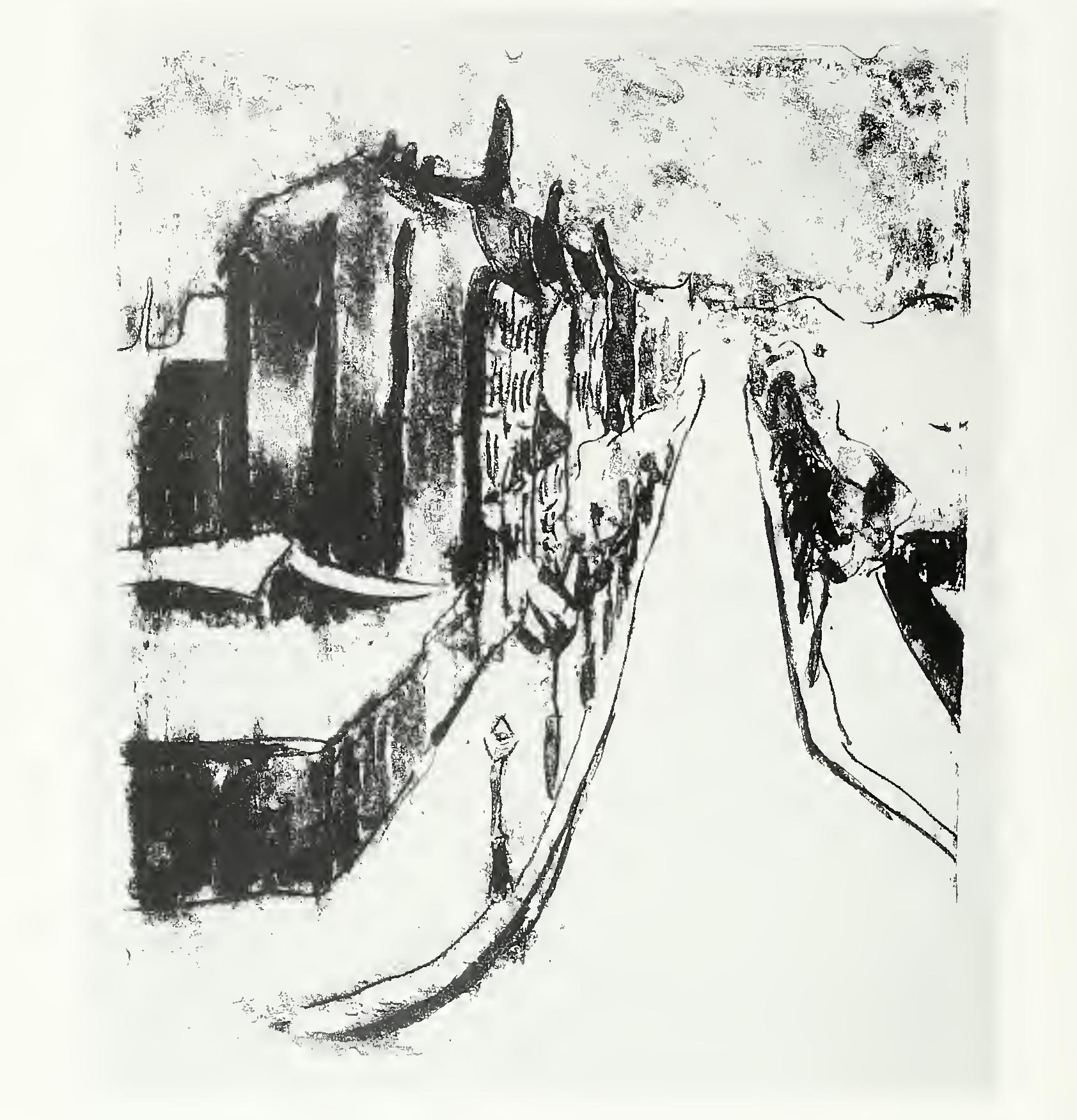 洋書 Expressionist Utopias Expressionist utopias : paradise, metropolis, architectural